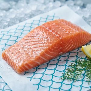 Hojas de Papel con Recubrimiento PE