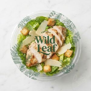 Envases para Comida para Llevar